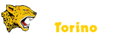 Giaguari Torino